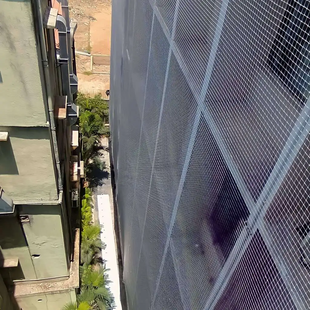 Ensure Safety and Hygiene with Expert Bird and Child Protection Solutions in Collector Office Road, Parbhani